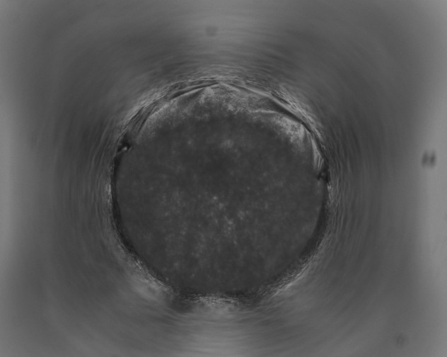 X0000090760681200708031631