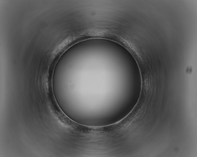 X0000090760682200708031631