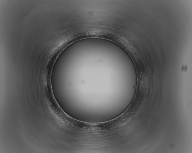 X0000090760683200708031631