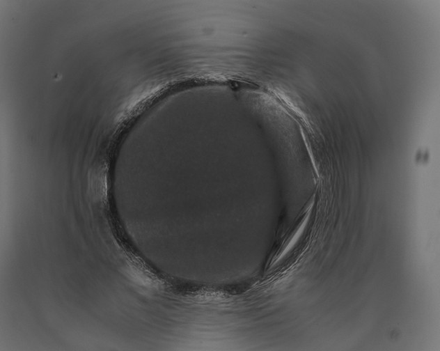 X0000090760685200708031631