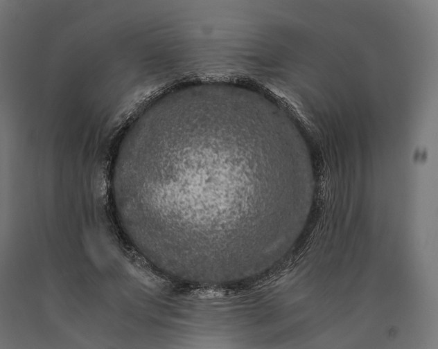 X0000090760687200708031631