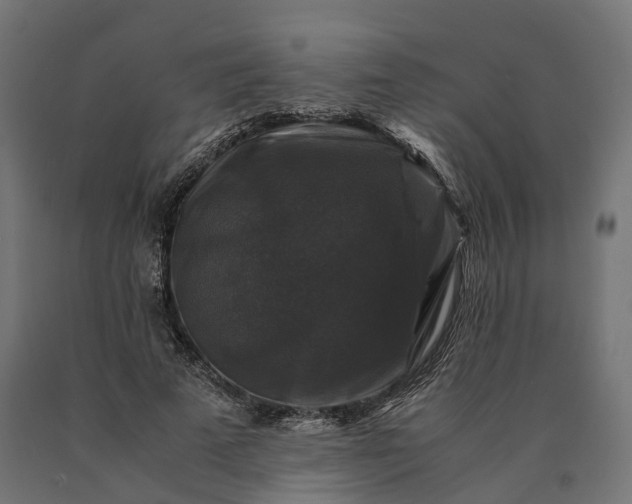 X0000090760689200708031631