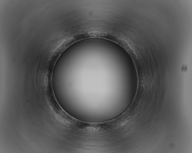 X0000090760690200708031630