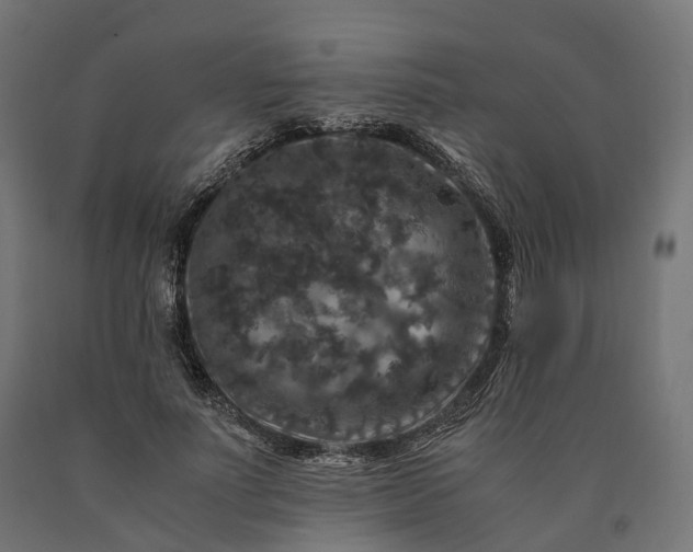 X0000090760691200708031630