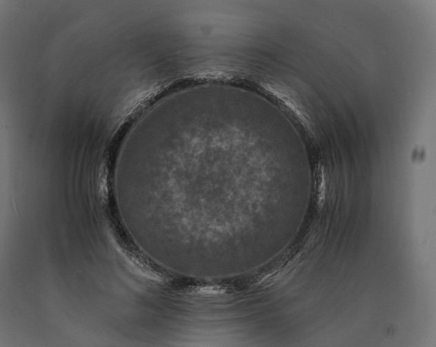 X0000090760692200708031630