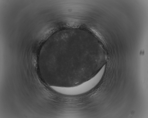 X0000090760693200708031630