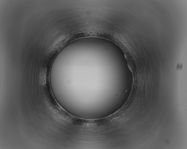 X0000090760694200708031630