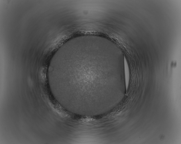 X0000090760695200708031630