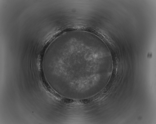 X0000090760696200708031630