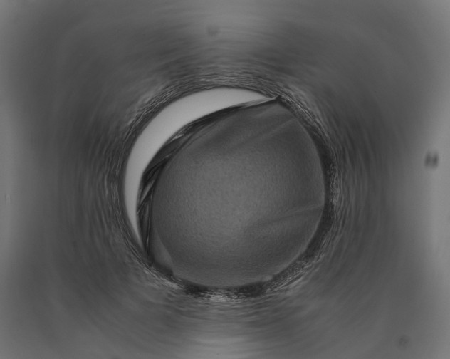 X0000090760697200708031630