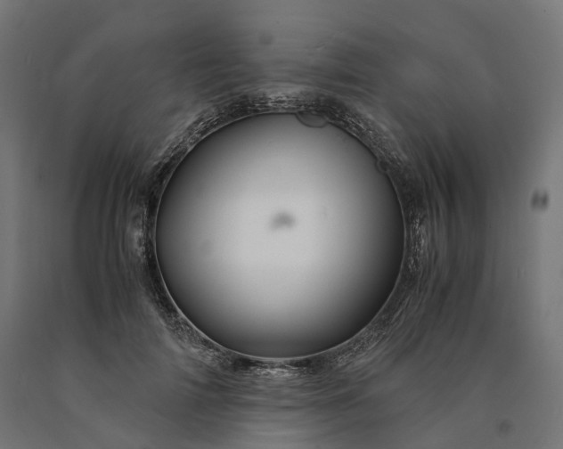 X0000090760698200708031630