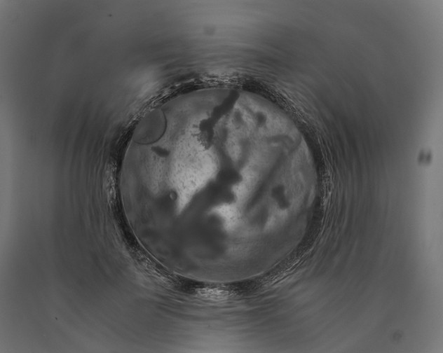 X0000090760699200708031630