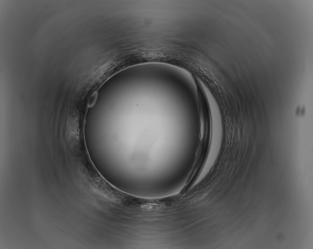 X0000090760700200708031630