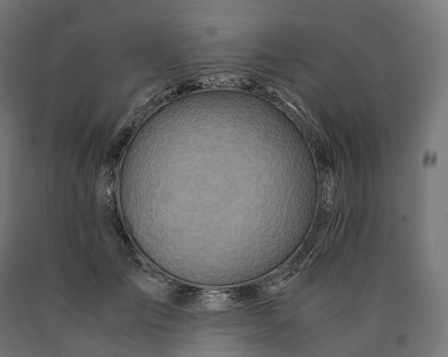 X0000090760701200708031630