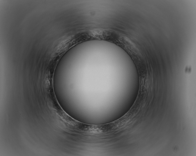 X0000090760702200708031630