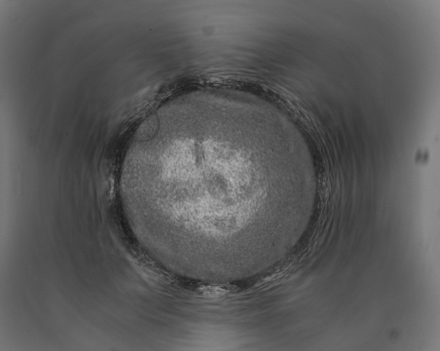 X0000090760703200708031630