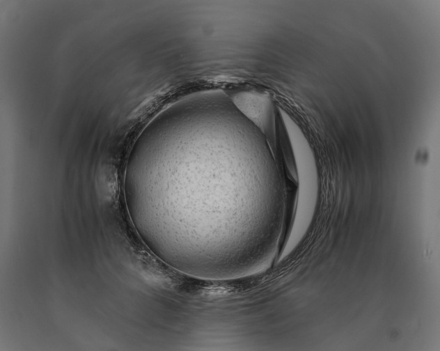 X0000090760704200708031630