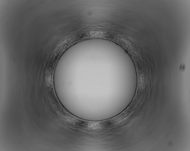 X0000090760705200708031630