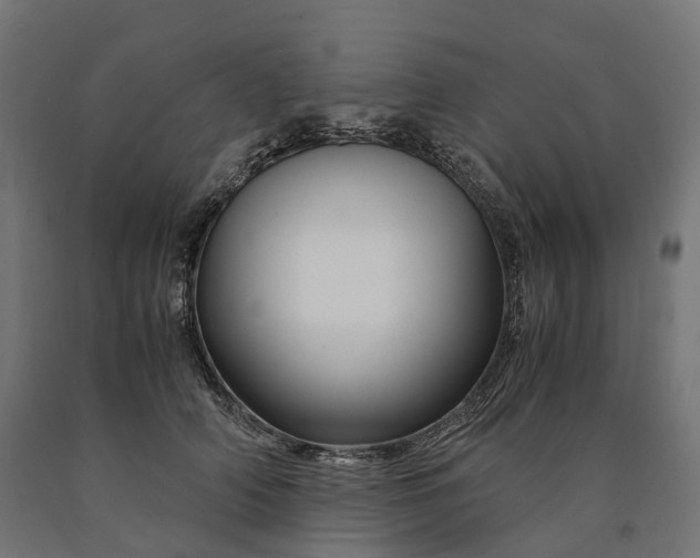 X0000090760706200708031630