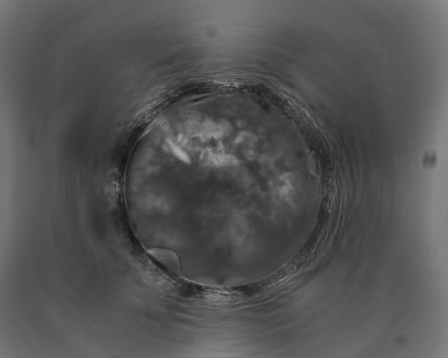 X0000090760707200708031630