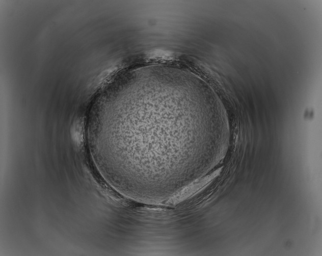 X0000090760708200708031630