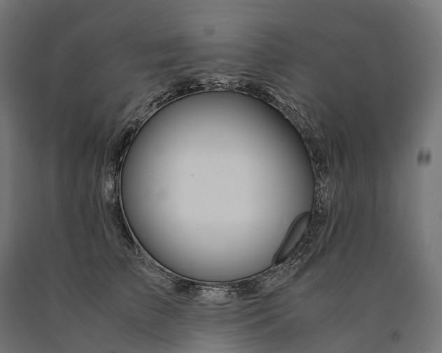 X0000090760709200708031630