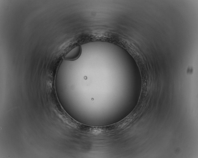 X0000090760710200708031630