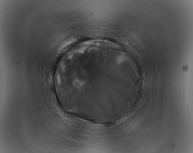 X0000090760711200708031630