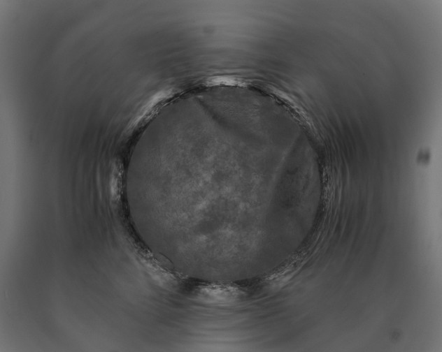 X0000090760712200708031630