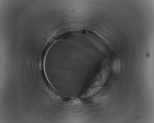 X0000090760715200708031630