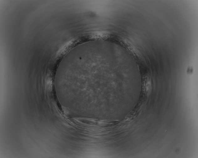 X0000090760716200708031630