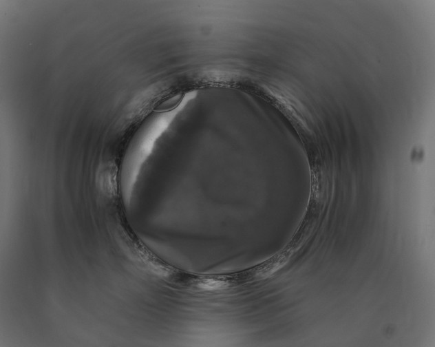 X0000090760718200708031630