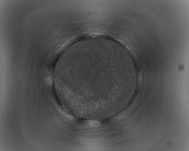 X0000090760719200708031630