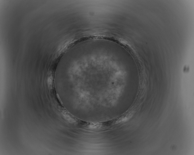 X0000090760720200708031630