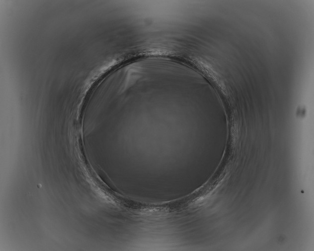 X0000090760721200708031629