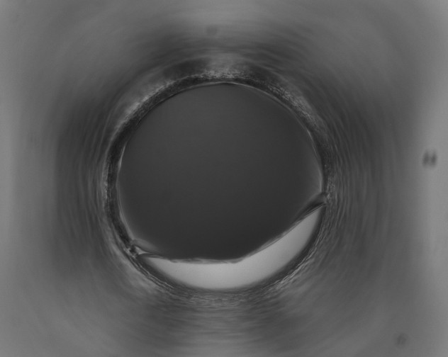 X0000090760722200708031629