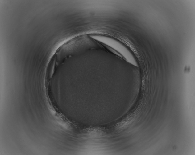 X0000090760724200708031629