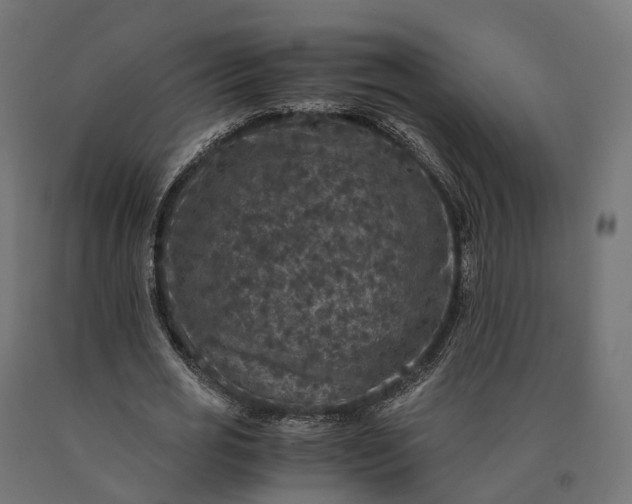 X0000090760725200708031629