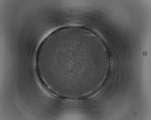 X0000090760726200708031629