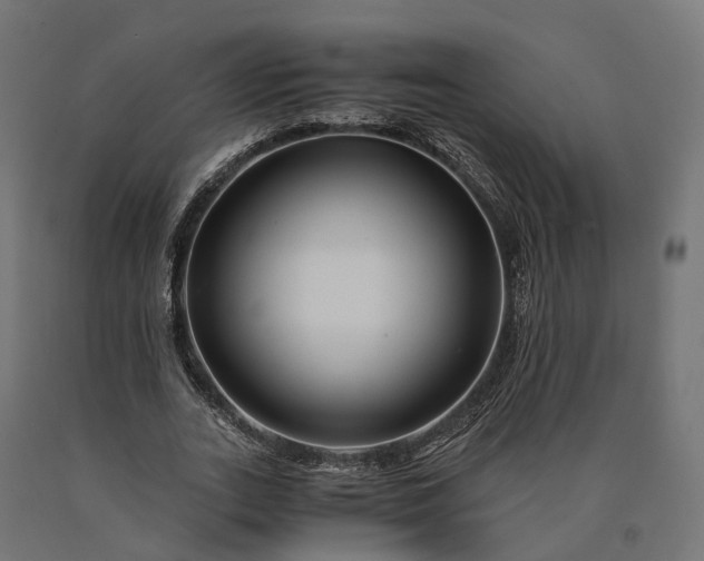 X0000090760727200708031629