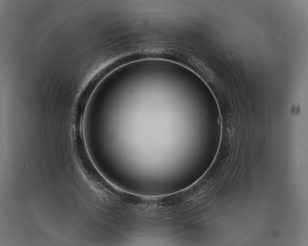 X0000090760728200708031629