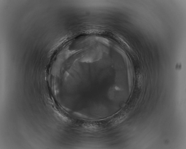 X0000090760729200708031629