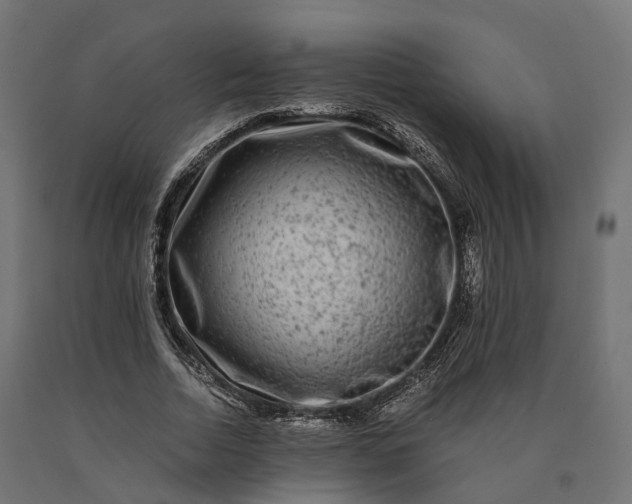 X0000090760730200708031629