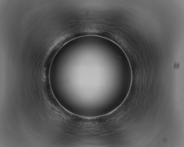 X0000090760731200708031629