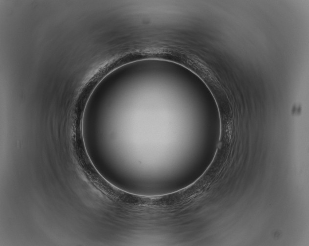 X0000090760732200708031629