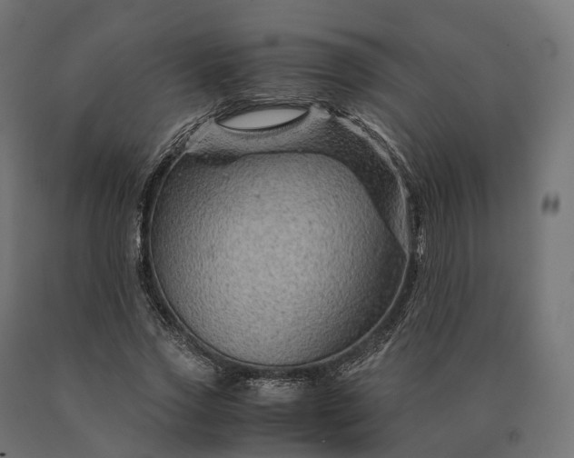 X0000090760733200708031629