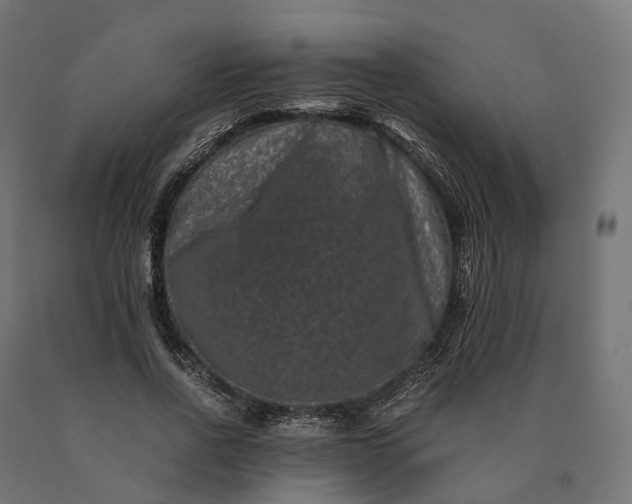 X0000090760734200708031629