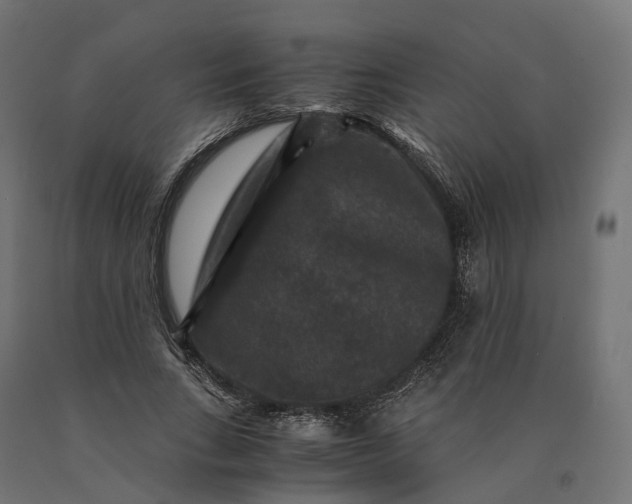 X0000090760735200708031629