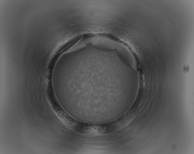 X0000090760736200708031629