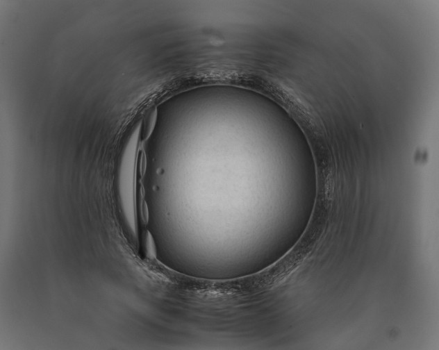 X0000090760737200708031630